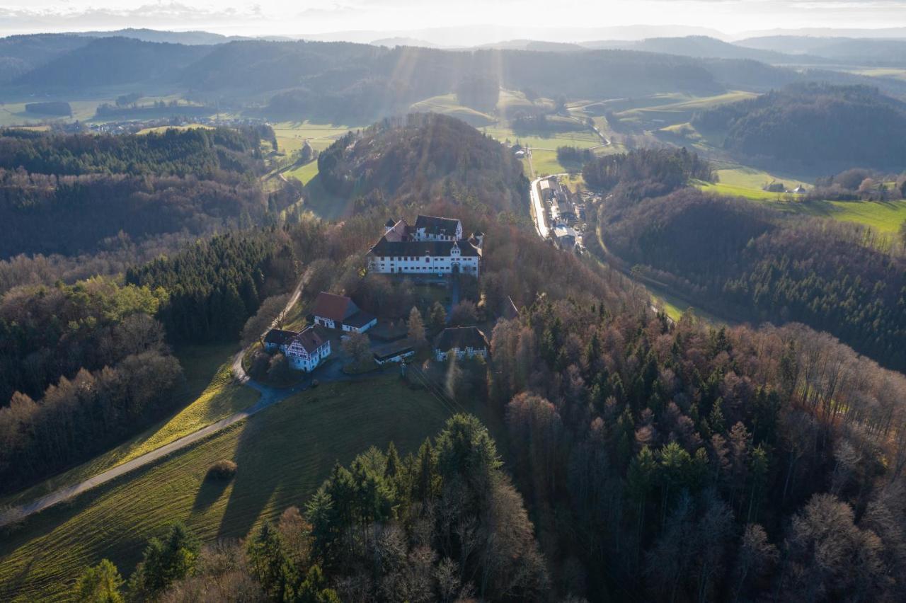 Hotel & Tagungszentrum Schloss Hohenfels Hohenfels  Exterior foto