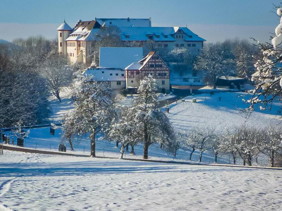 Hotel & Tagungszentrum Schloss Hohenfels Hohenfels  Exterior foto