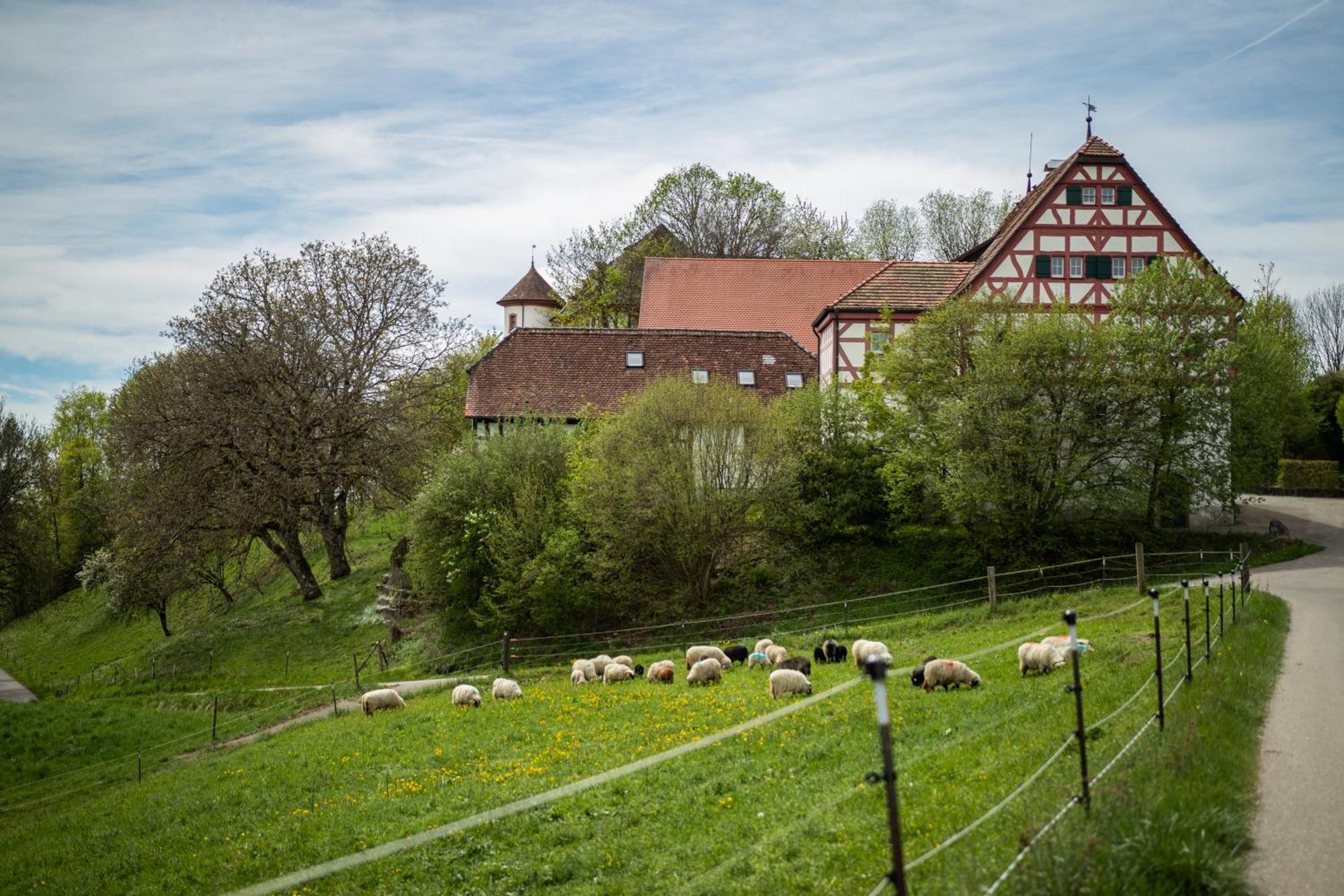 Hotel & Tagungszentrum Schloss Hohenfels Hohenfels  Exterior foto